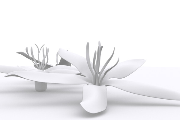 coffee flower 3ds - Coffee Flower by DigiDom Studios